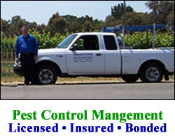 Pest Removal Services Sonoma California